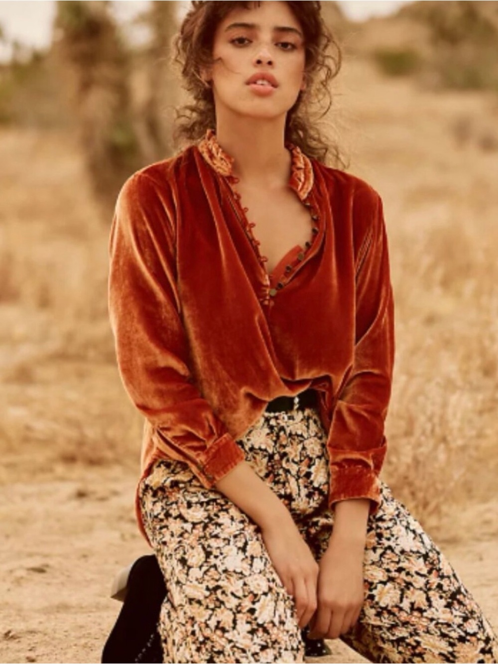 Anthropologie Crushed Velvet Kristianne VNeck Blouse SM Fall Boho Romantic